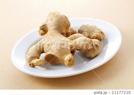 生姜 生姜 21177210