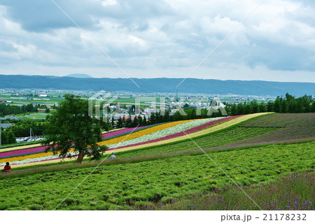 ファーム富田 ファーム富田 21178232