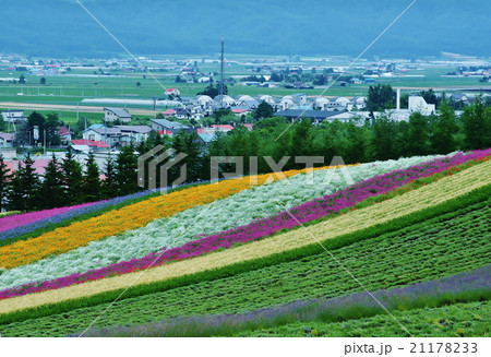 ファーム富田 21178233