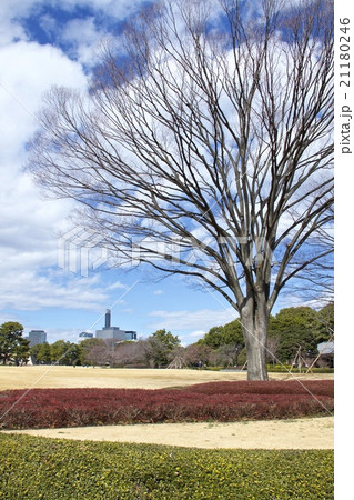 皇居東御苑 21180246