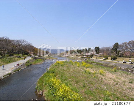 春の賀茂川 21180377