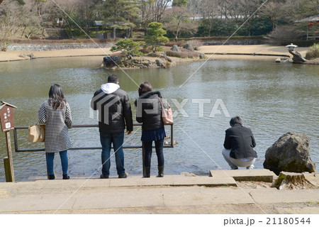 鯉のエサやり 21180544