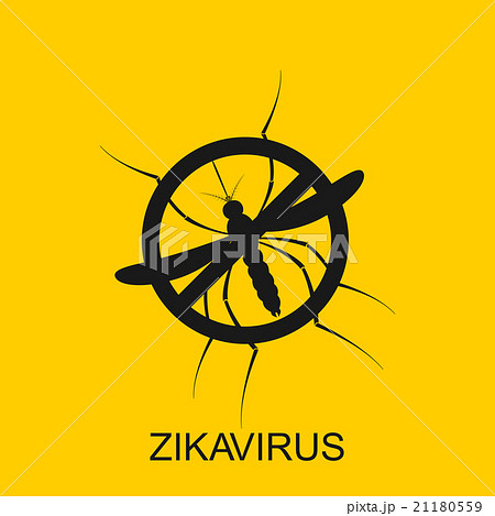 Zika mosquito vector. Virus alert. Aedes Aegypti 21180559