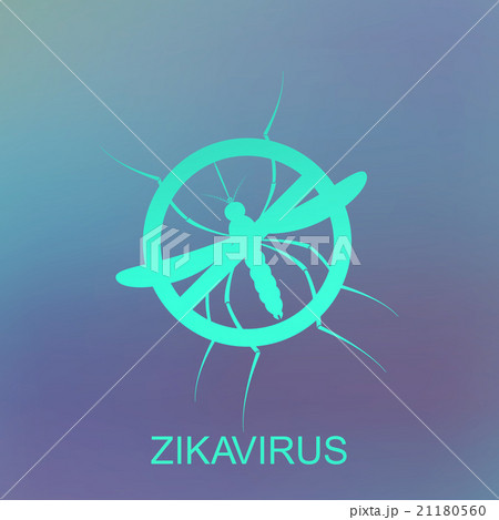 Zika mosquito vector. Virus alert. Aedes Aegypti 21180560