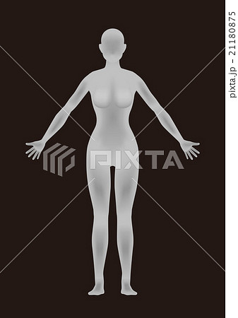 女性の立体的な人体のシルエット ベクターイラストのイラスト素材