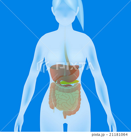 女性のシルエットと消化器 イメージイラストのイラスト素材