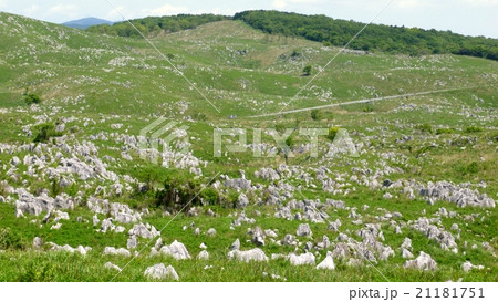 秋吉台のカレンフェルト 21181751