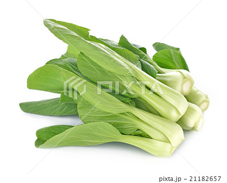 Bok choy vegetable on the white background 21182657