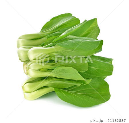 Bok choy (chinese cabbage) on white background 21182887