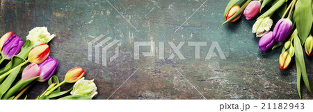 Tulips on a wooden background Tulips on a wooden background 21182943