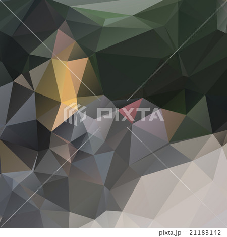 Triangular geometric shapes. 21183142
