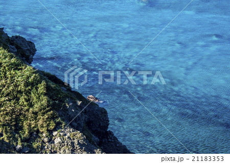 快晴の神威岬　夏の積丹半島 21183353