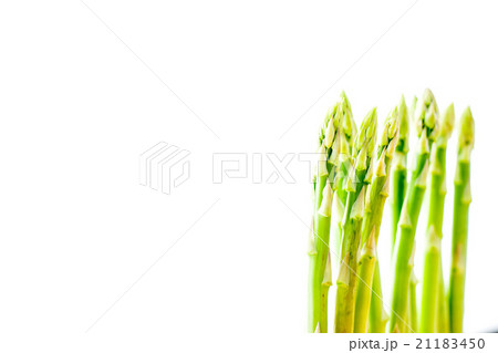 Asparagus sprouts on the white background Asparagus sprouts on the white background 21183450