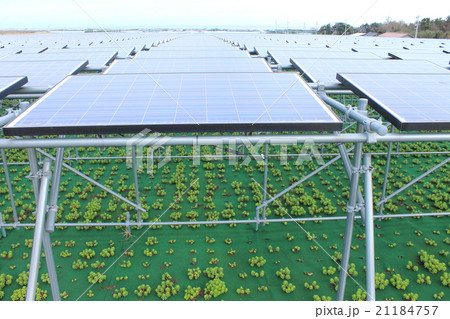太陽光パネル_営農型ソーラー_鳥取県北栄町 21184757