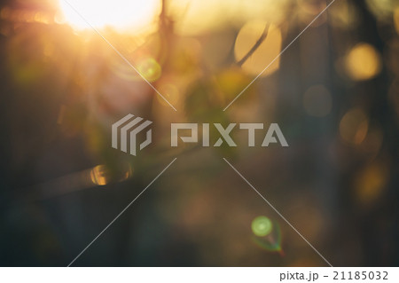 Gold desert in sunset, bright blur background Gold desert in sunset, bright blur background 21185032