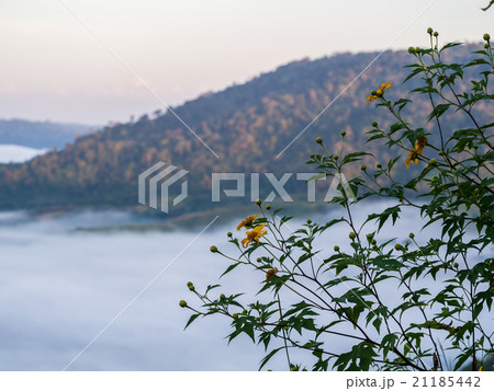 Misty morning in mountain 21185442