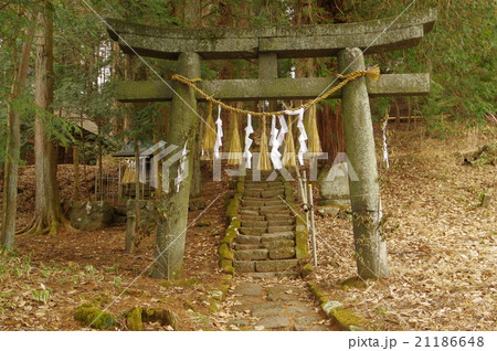 信州　諏訪の神社　熊野神社　参道内鳥居　江戸時代に修験道が盛んだった地域の産土神の神社 21186648