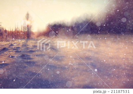 winter background blur forest snowflakes bokeh winter background blur forest snowflakes bokeh 21187531