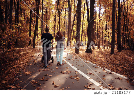 landscape autumn path in the park 21188177