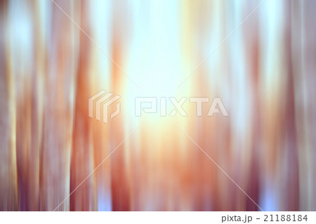 motion blurred background winter forest 21188184