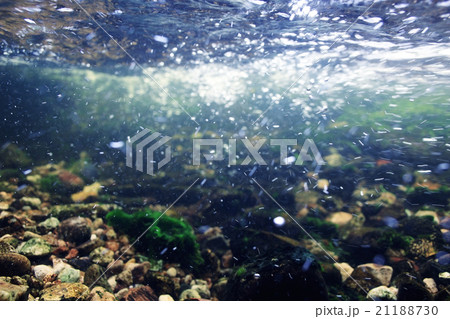 Underwater in a mountain river 21188730