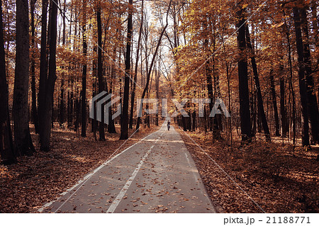 Autumn in America landscape of Central Park Autumn in America landscape of Central Park 21188771