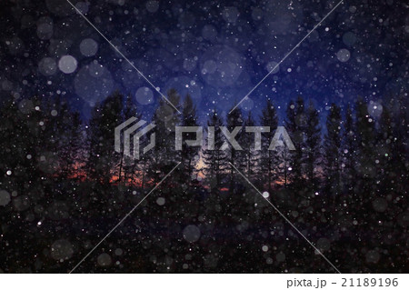 night snowfall trees background 21189196
