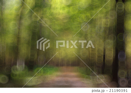 unfocused nature background bokeh unfocused nature background bokeh 21190391