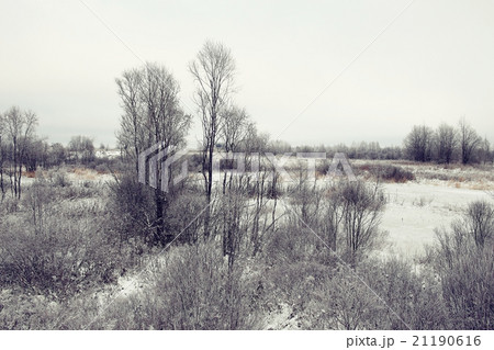 Winter in the village Winter in the village 21190616