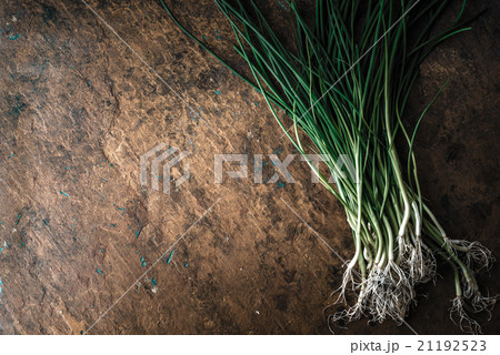 Green onion stalks and roots on the stone table 21192523