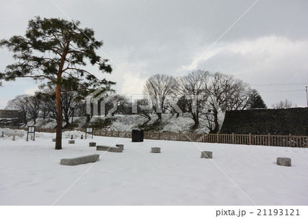 冬の霞城公園 21193121