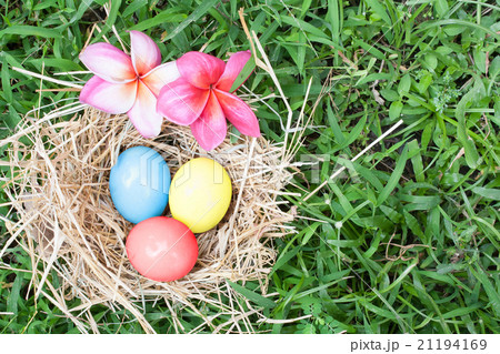 Organic egg in nest on green grass background 21194169