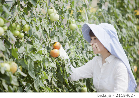 農業女子 21194627