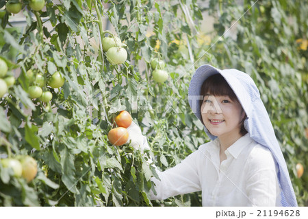 農業女子 農業女子 21194628