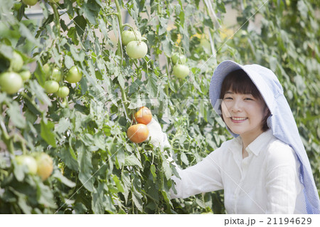 農業女子 21194629