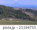 開聞岳　茶畑 21194755