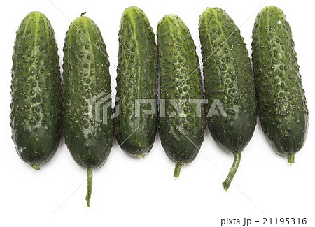 cucumbers cucumbers 21195316