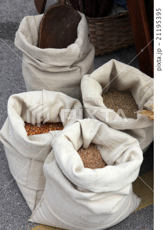 Bag of Wheat and Corn Bag of Wheat and Corn 21195395