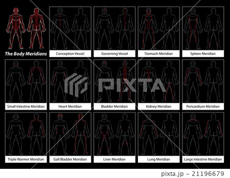 Body Meridians Detailed Diagram Black 21196679