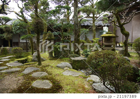 山口市史跡の十朋亭茶室の庭 21197389