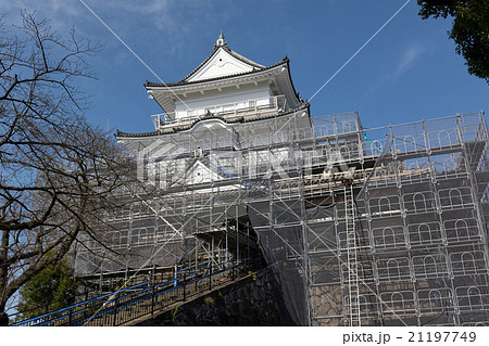 足場で覆われた耐震工事中の小田原城 神奈川県の写真素材