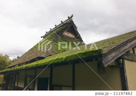 苔生す茅葺屋根、美山、南丹市、京都府 21197862