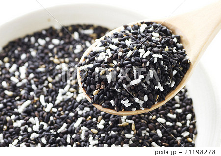 ごましお2 21198278