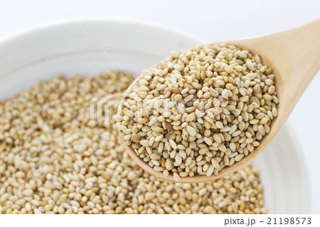 白ごま2 白ごま2 21198573