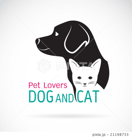 Vector image of an dog and cat design  21198733