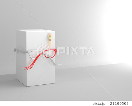 水引　熨斗　メガネ 21199505