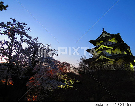 弘前城と桜 21201265