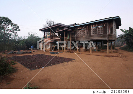 Drying coffee beans Drying coffee beans 21202593