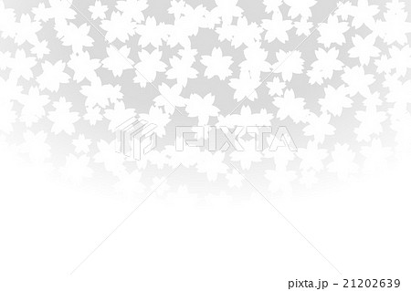 背景素材壁紙 フラワー 桜 サクラの木 さくらの花 満開 早春 入学式 卒業 余白 コピースペース のイラスト素材