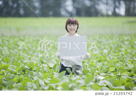 農業 女性 農業 女性 21203742